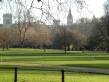  Big Ben au dessus de St James's Park